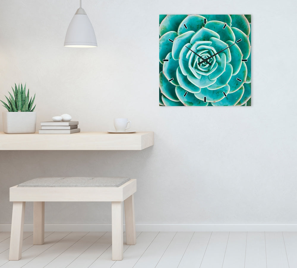 Künstlerische Wanduhr | Digitaldruck auf Sicherheitsglas | Sempervivum - houseofhome24