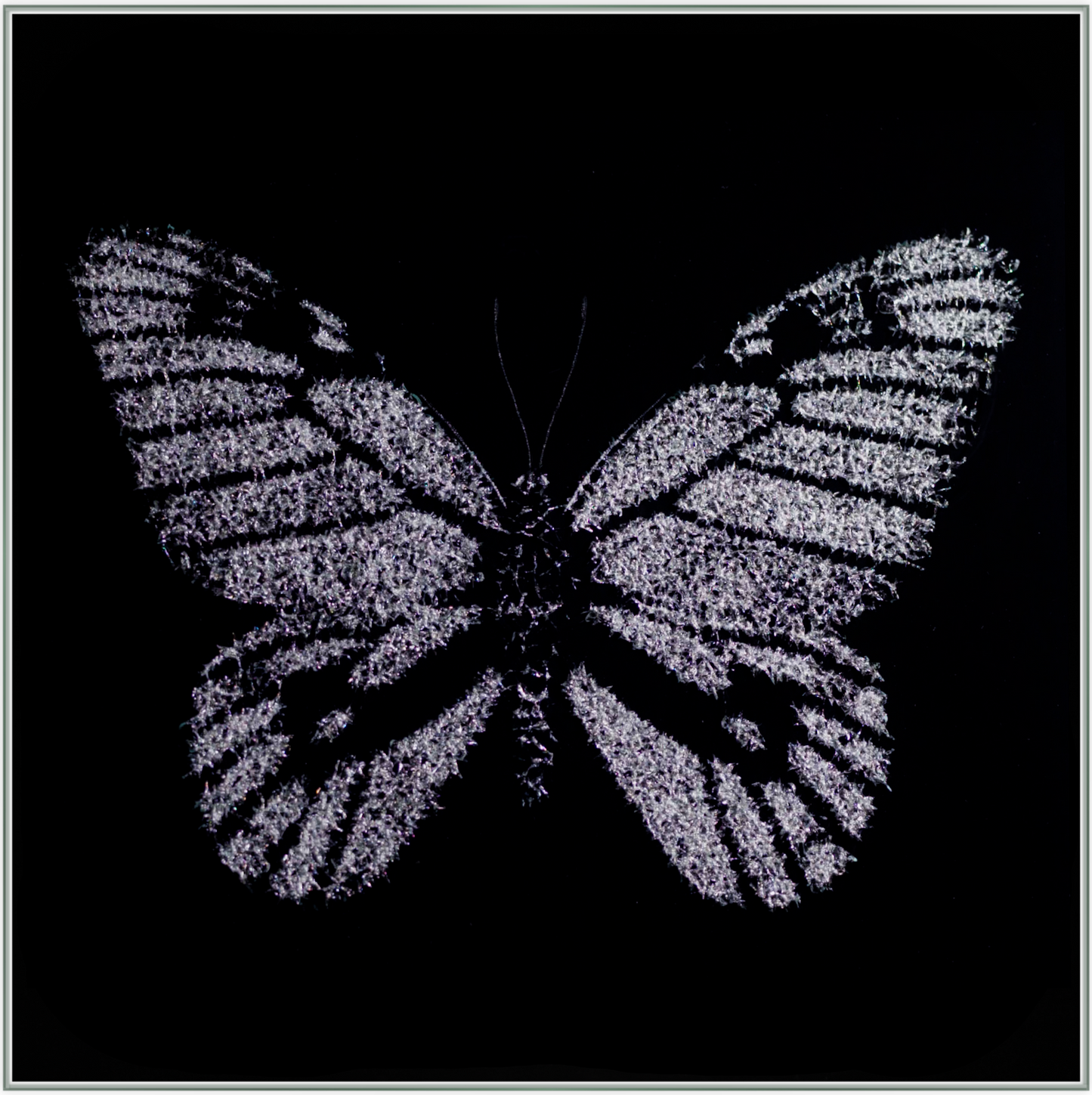 Luxeriöses Wandbild aus Glas „Einsamer Schmetterling” | Modernes Glasbruchgemälde mit Rahmen | Wandkunst aus Glas mit Rissen | Glass Crack Wallart - houseofhome24