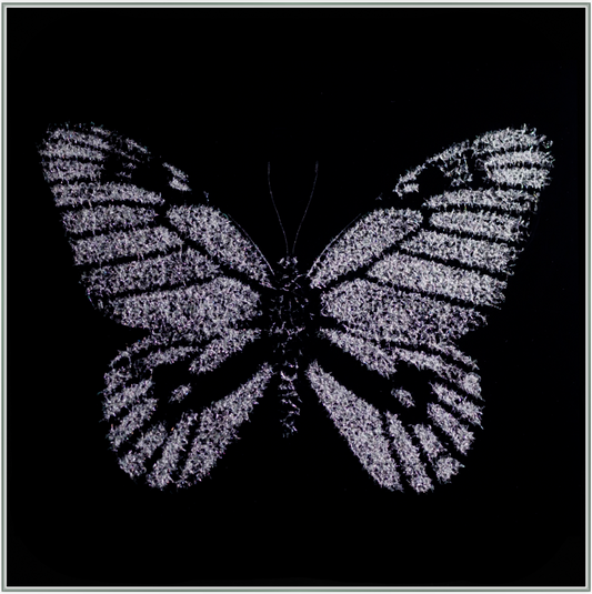 Luxeriöses Wandbild aus Glas „Einsamer Schmetterling” | Modernes Glasbruchgemälde mit Rahmen | Wandkunst aus Glas mit Rissen | Glass Crack Wallart - houseofhome24